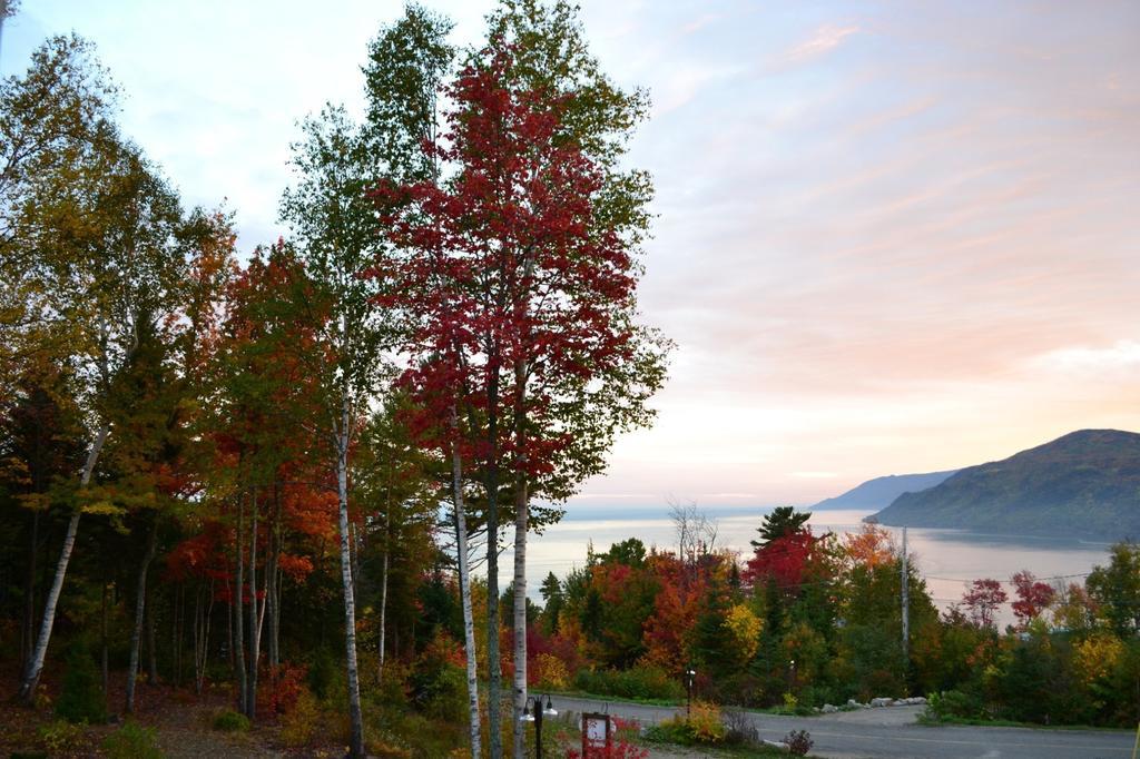 Gite Nature Et Pinceaux Baie-Saint-Paul Kültér fotó